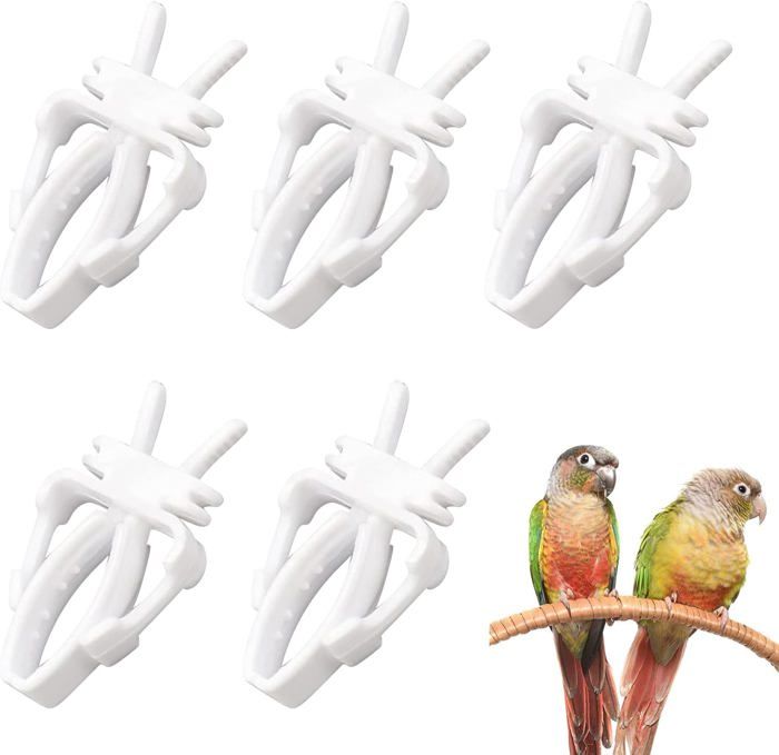 Meilleurs prix pour Pince à Fruits pour Oiseaux, Outil de Fruit de Perroquet Oiseaux, Porte-Nourriture pour Oiseaux, Mangeoire, 5 pièces