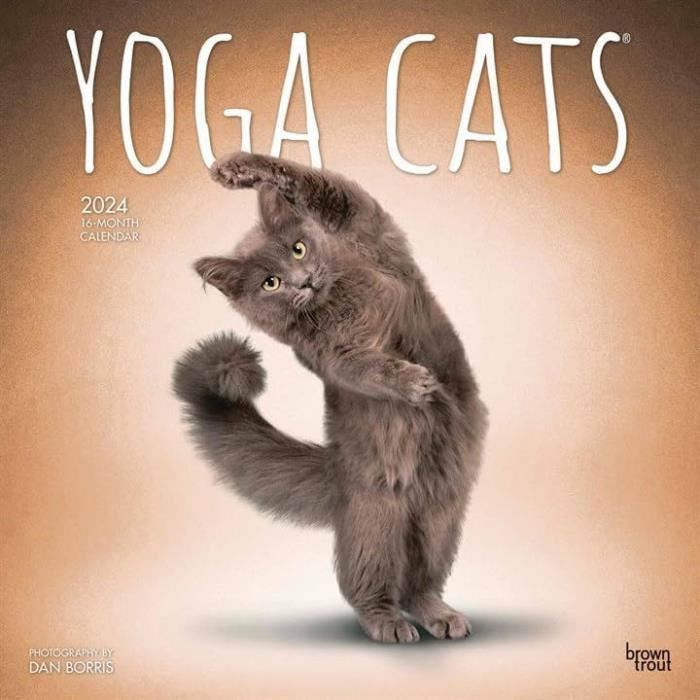 Calendrier 2024 Chat Yoga - Chats Humoristique - Chaton + Offert