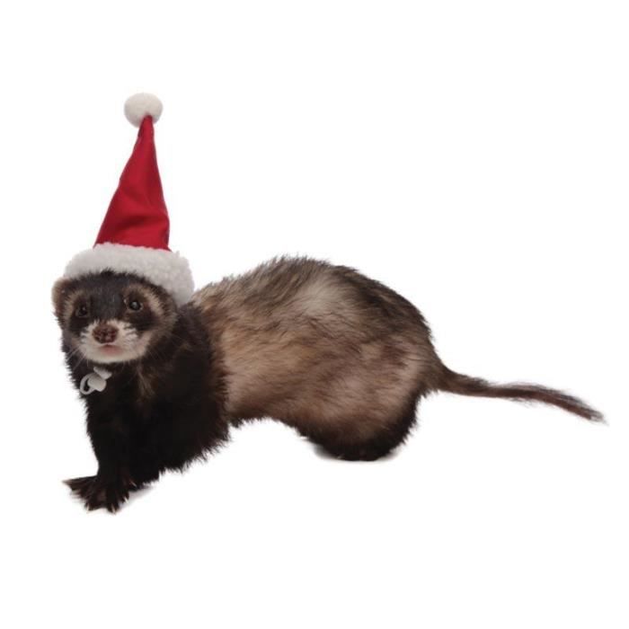 Bonnet De Pere Noel Pour Furet Cdiscount