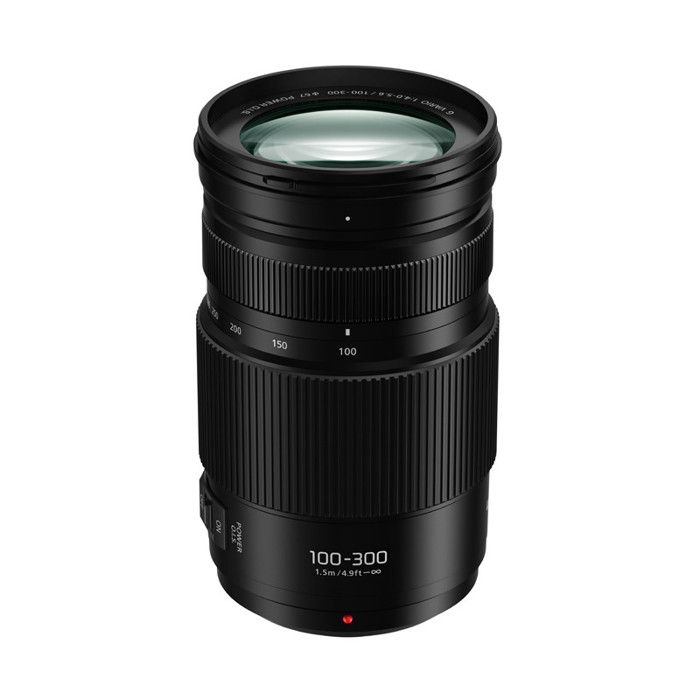Objectif Hybride Panasonic Lumix G Vario 100-300mm f/4.0-5.6 II OIS – Monture Micro Four Thirds - vue 8