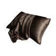 La taie d'oreiller en soie pure mûre douce couvre la beauté anti-âge en soie 1pc nochalofo zly 1396-1