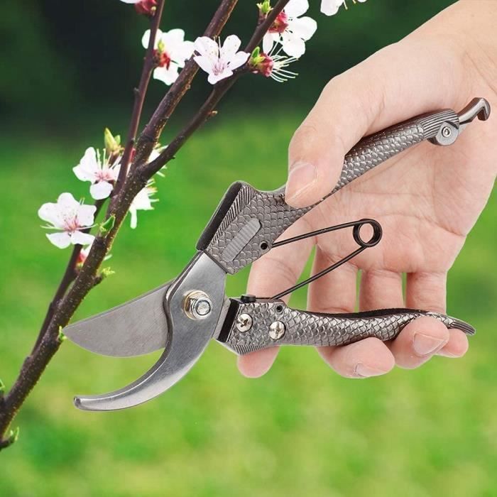 Sécateur Professionnel De Jardin, Outil De Jardin Pour Sécateurs De
