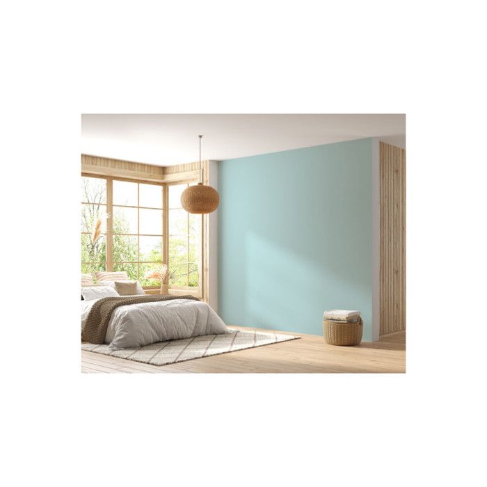 Peinture lessivable acrylique mat – murs et plafonds - 5 ltr Bleu