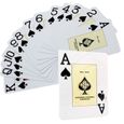 Jeu de Cartes Poker 55 Cartes étui Plastique 305 grammes 8,80 x 6,30 cm-0