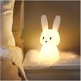 Veilleuse Bebe Bunny Tactile 7 Couleurs de Lumière Fonction Minuterie Lampe de Chevet Pour Chambre D'enfant Cadeau Jouet Veilleuse-0