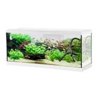 Aquarium poisson Tana LED 100cm blanc - Zolux Blanc