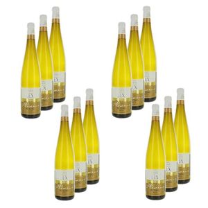 VIN BLANC Jux - Lot 12x Vin blanc Alsace Réserve Riesling AO