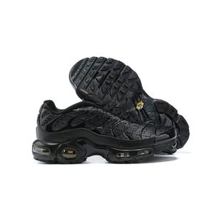 Prix tn noir 2025