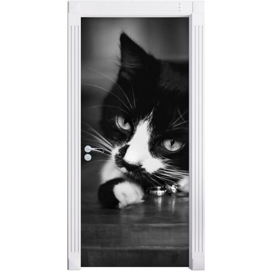Chat Noir Jouant Avec L Anneau De Mariage Comme Fond D Ecran De La Porte De La Taille 0x90cm Cadre De Porte Porte Cdiscount Maison Chat Noir Jouant Avec L Anneau De Mariage Comme Fond D Ecran De La Porte De La Taille 0x90cm Cadre De Porte Porte Cdiscount Maison