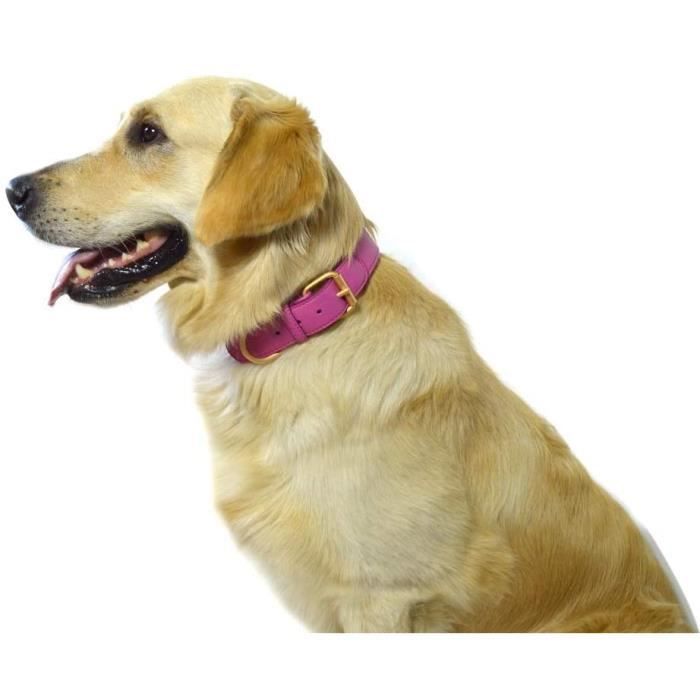 YIBANG- dog collar Produits for Animaux domestiques Collier for Chien Rond en Cuir avec Cercle, 10-26 Pouces (Color : Bl 439361