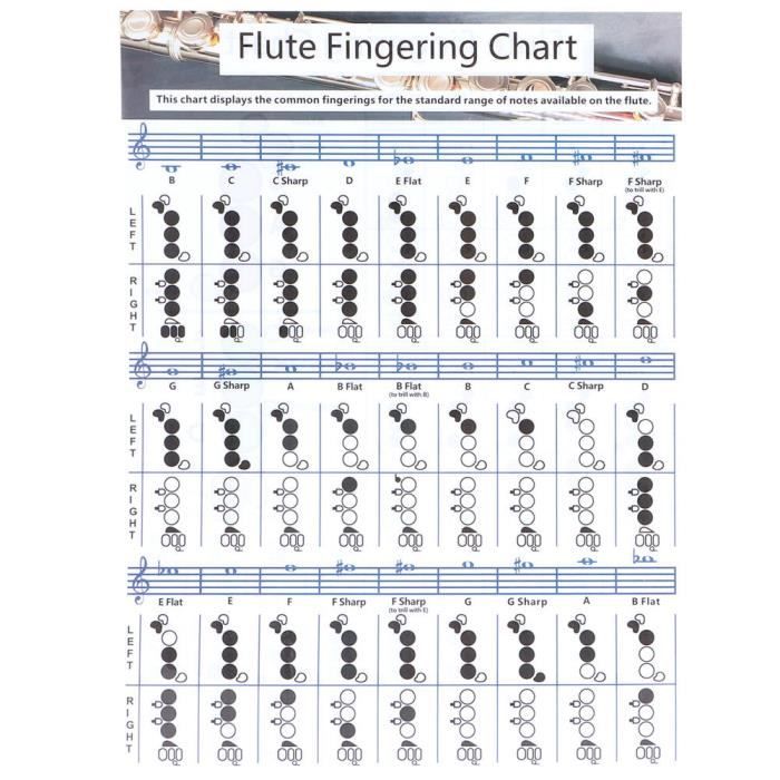 Tableau de notes du clavier de Piano à 61 et 88 touches, feuille de  pratique des touches de Piano, tableau de comparaison des doigtés
