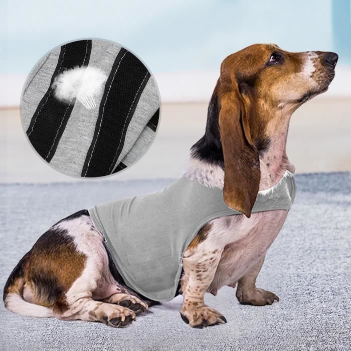 Blouson best sale pour chien
