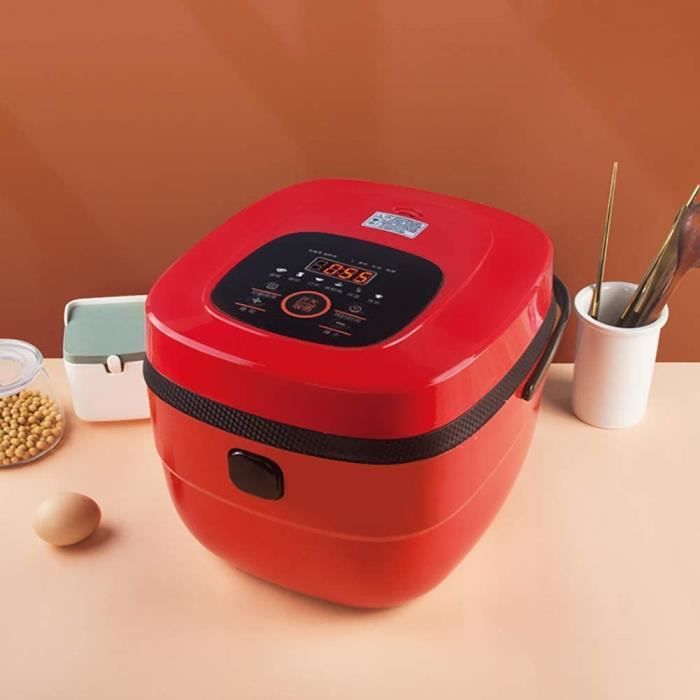 Cuisson Rapide AWYGHJ Mini cuiseur /à Riz de 1,2 L bo/îte /à Lunch /électrique de Voyage avec marmite antiadh/ésive Amovible des rago/ûts et de lavoine pour la Cuisson de la Soupe du Riz