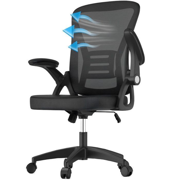 Fauteuil de Bureau BIGZZIA Chaise Ergonomique à roulette Hauteur Ajustable Soutien Lombaire Dossier Règalable Poids Max 150kg