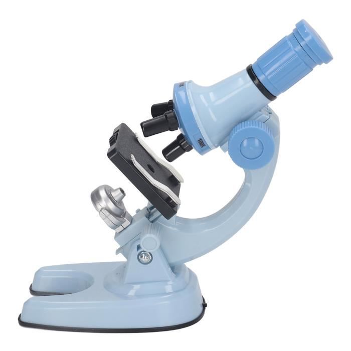 Boîte de lame de microscope, 50 pièces de verre de biologie préparé lames de microscope spécimens de boîte de rangement de lame en bois