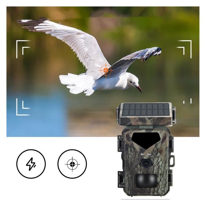 Lot de 2 lampes solaires de chasse de porc pour la chasse de