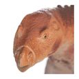 Be Toys - Figurine de dinosaure en plastique souple. yrannosaure: 39x25cmScelidosaure: 32x12cmBrachiosaure: 32x24cmStégosaure:-1