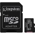 Carte mémoire flash Kingston Canvas Select Plus - 512 Go - A1 / Video Class V30-1