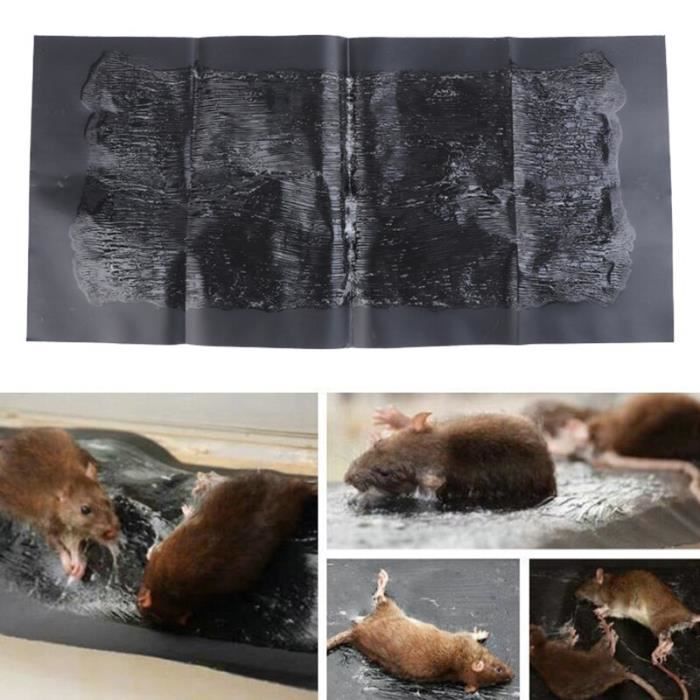 (None)Anti Rat Grand Colle Collante Tapis Rongeurs Taupes Piège À ...