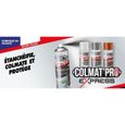 Lot de 2 Colmat’Pro Express  300 ml  couleur Blanc– Stop-Fuite, Etanchéifie, Colmate et Protège votre intérieur et extérieur-2