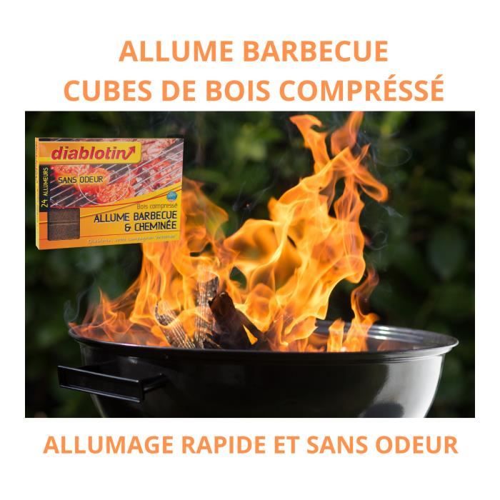 BBQ Allume-Charbon pour BBQ Allume-Cigare cheminée Cheminée en