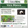 SOLUNEMA - Nématodes HB - Vers Blancs - 25 millions pour environ 25m²-0