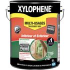Traitement multi-usages - XYLOPHENE - 5L