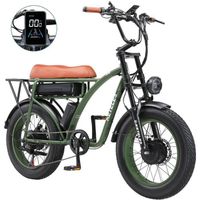 KETELES KF8 vélo électrique à double moteur , batterie au lithium 23AH, moteur 2000W, frein hydraulique, écran couleur,vert