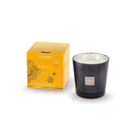 Concentrado Difusor ESTEBAN PARIS Ambre et Baumes - La Esquina