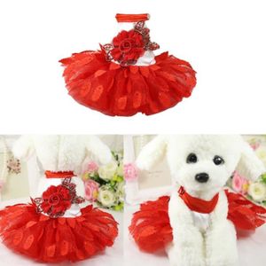 Robe Pour Chien