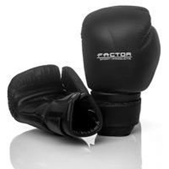 Gants de boxe 10 OZ Cdiscount Sport