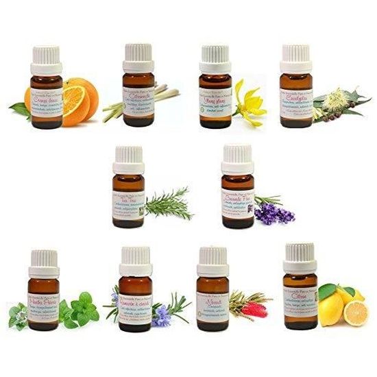 Kit Essentiel : Lot De 10 HUILES ESSENTIELLES H.E.B.B.D. 10ML ...
