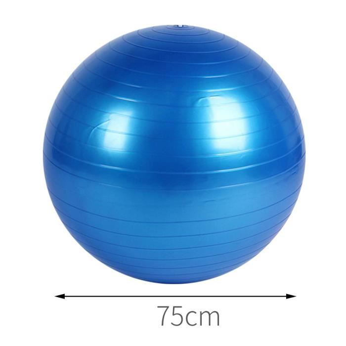 Balle d'équilibre Laputian Yoga Ball PVC durable 55-65 - 75cm soins de santé récupération post-partum