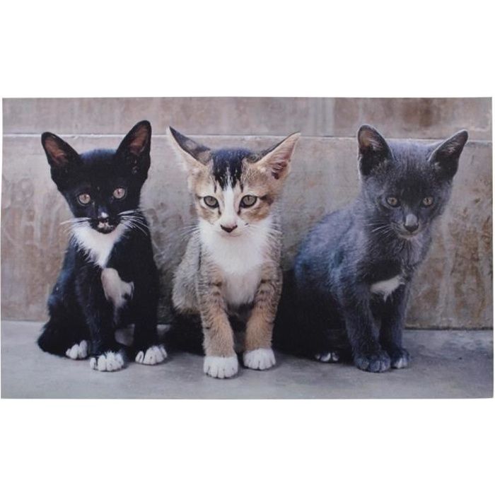 Tapis paillasson imprimé chats - 75 x 45 cm