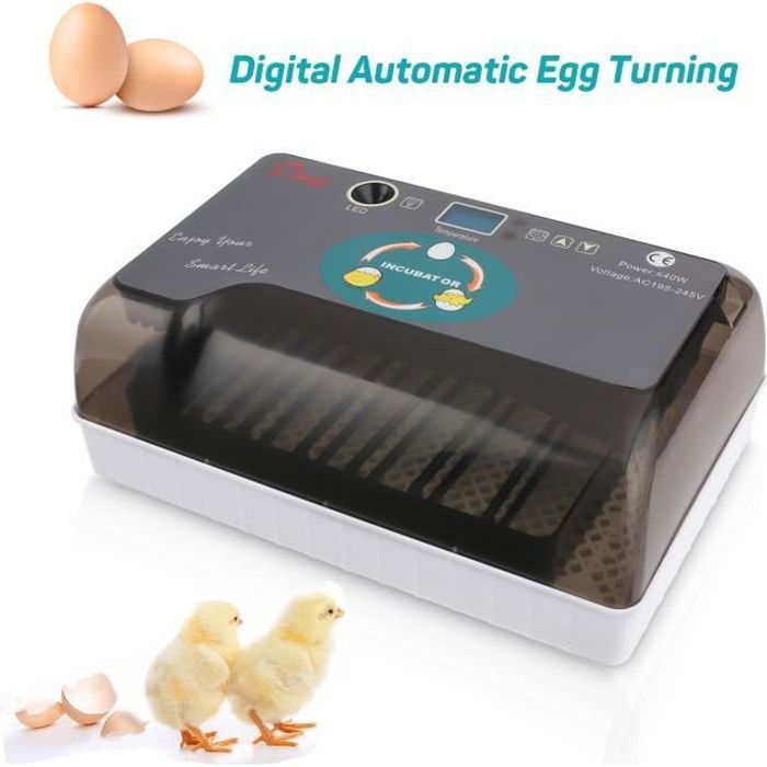 Meilleurs prix pour Couveuse Incubateur Automatique 12 oeufs pour Volaille Intelligent Numérique - Contrôle de la température - Gris Gris gris COUVEUSE