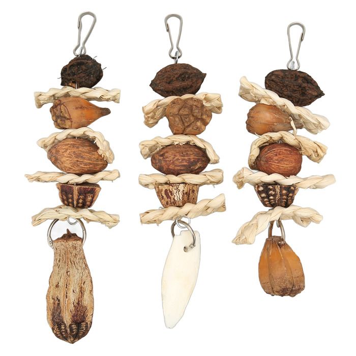 Perruche Bec Pierre Perroquets Parure Jouets à Mâcher Ensemble Noix pour Oiseaux Seiche Fournitures pour Animaux de Compagnie Label