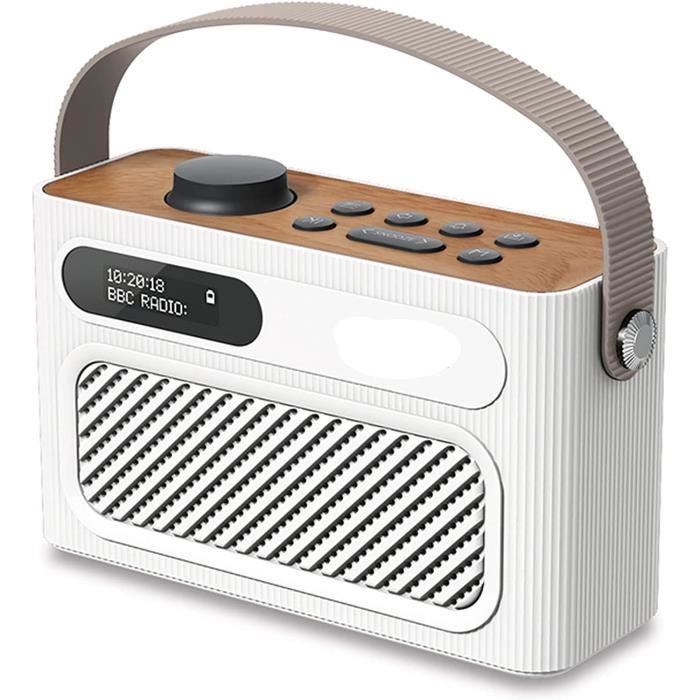 Haut-Parleur sans Fil Portable Radio Dab Stéréo avec Bluetooth 5.0 Et ...