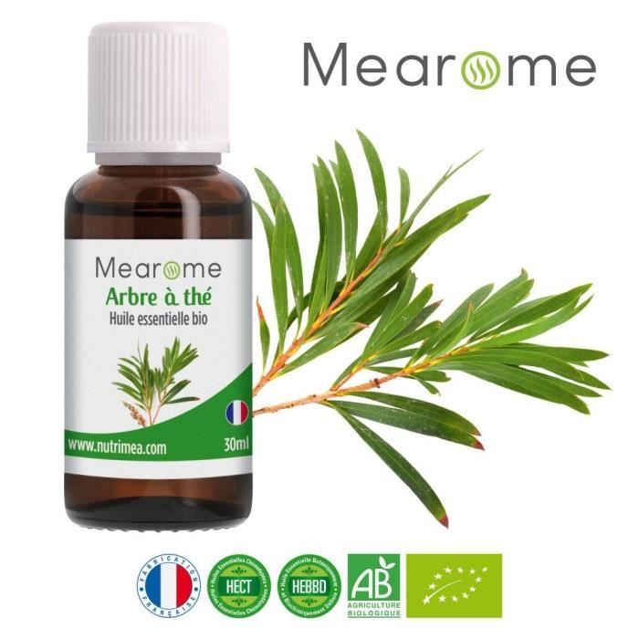 Huile Essentielle de Tea Tree (Arbre à thé) BIO