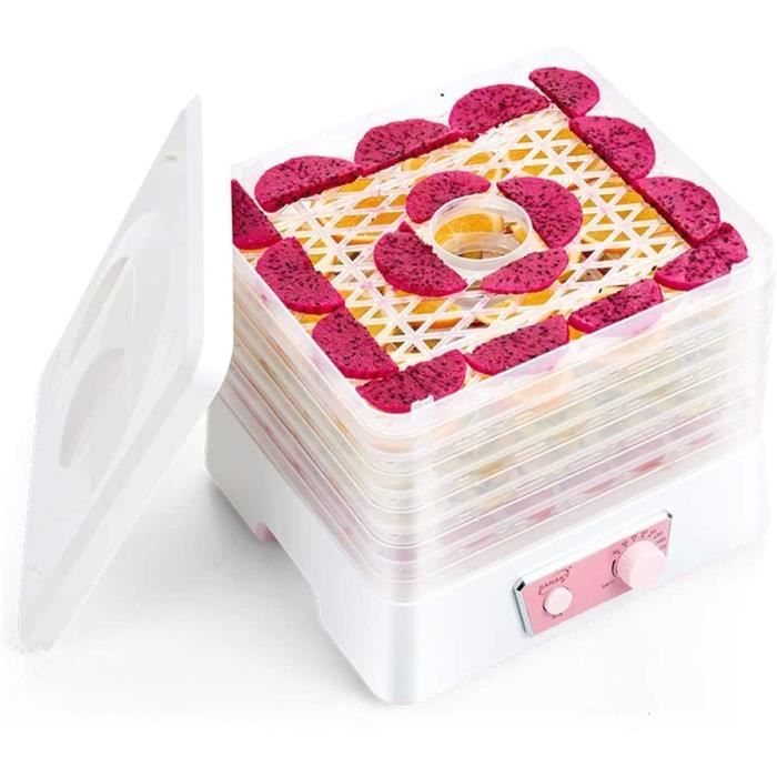 Déshydrateur Alimentaire à 10 Plateaux En Acier | Ubuy