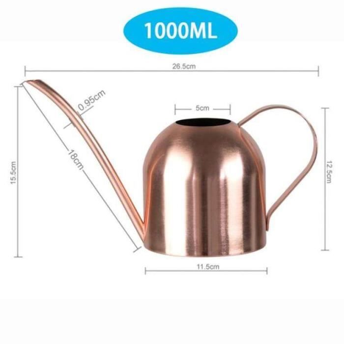 Arrosoir En Acier Inoxydable 1 Litre - Long Bec Doré - Pour Plantes D'intérieur Et Jardin - Confortable Et Sans Fuite