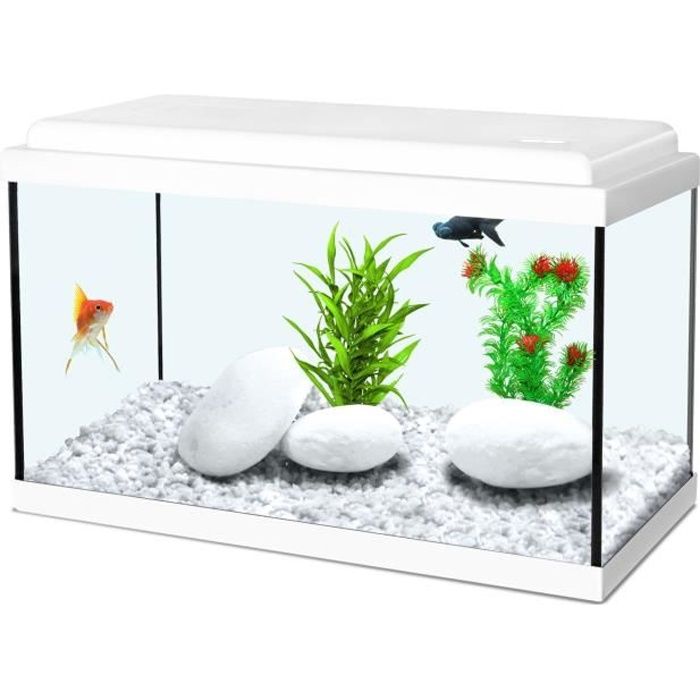 Soldes Aquarium 20l - Nos bonnes affaires de janvier