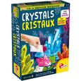 Jeux scientifique - LISCIANI GIOCHI - I'M GENIUS Crystals New - Création de cristaux spectaculaires - Mixte-1