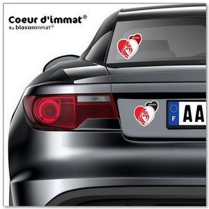 Motorrad-Aufkleber „DPT 85 Vendée“ – Für Nummernschild-Optik, 6 X 3 Cm, Paarweise