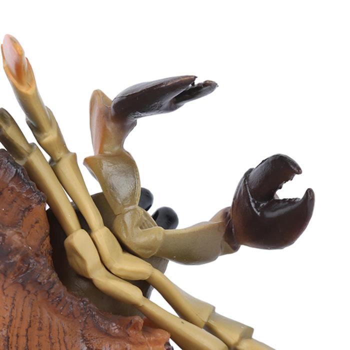 Figurine Crabe Soldat Marin – Modèle Plastique 12,6 Cm – Jouet Éducatif Ou Décoration Bureau