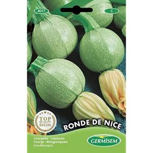 GRAINE - SEMENCE Graines Courgette RONDE DE NICE A110