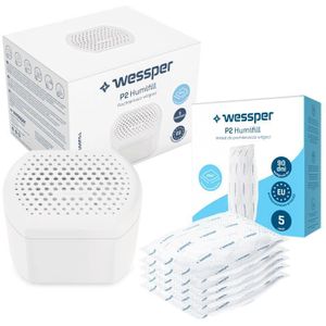 Wessper Déshumidificateur d'air pour la Maison, absorbeur d'humidité et  Anti odeurs pour pièces de 20 m², 1 Sachet de 250g Gris
