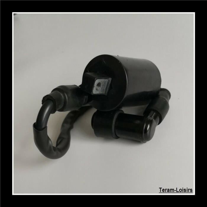 Bobine Allumage pour Yamaha XV 125 et 250 VIRAGO / NEUF