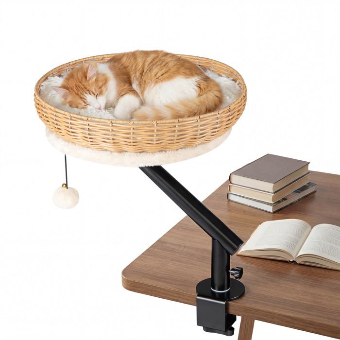 Meilleurs prix pour Arbre à Chat en Rotin Cannage COSTWAY de Bureau Lit Chat Rotatif à 360° sans Perçage Coussin Amovible Balle Suspendu Charge 10KG