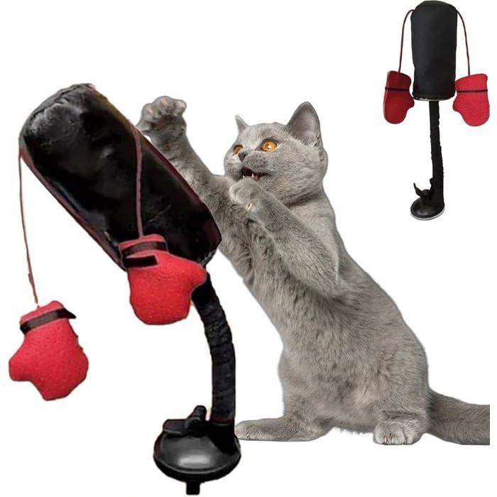 Sac De Frappe Pour Chat Jouet Interactif Avec Gants De Boxe Accessoire Dentraînement Amusant Pour Chaton Dintérieur Noir