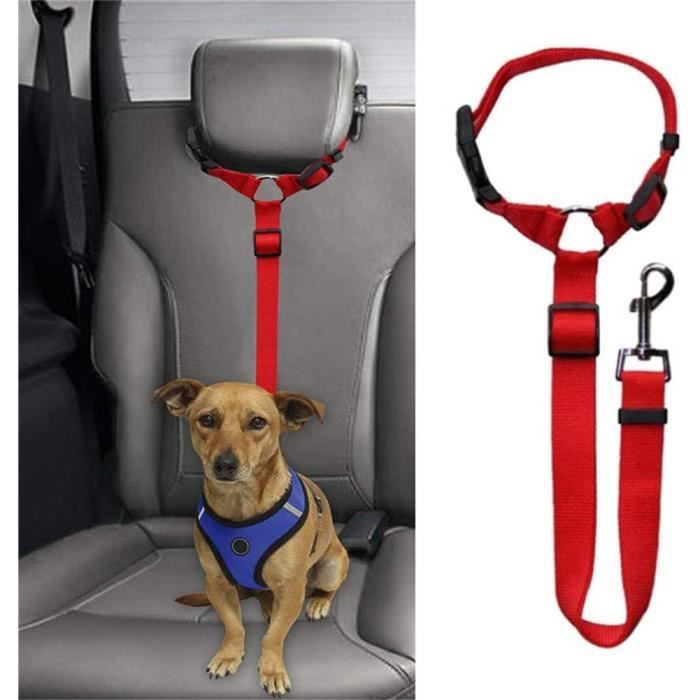 Rabais-réglable Chien Chat ceinture de sécurité ceinture de sécurité voiture  Connexion Sangle Adaptateur pour chien pour voiture en - Cdiscount  Animalerie